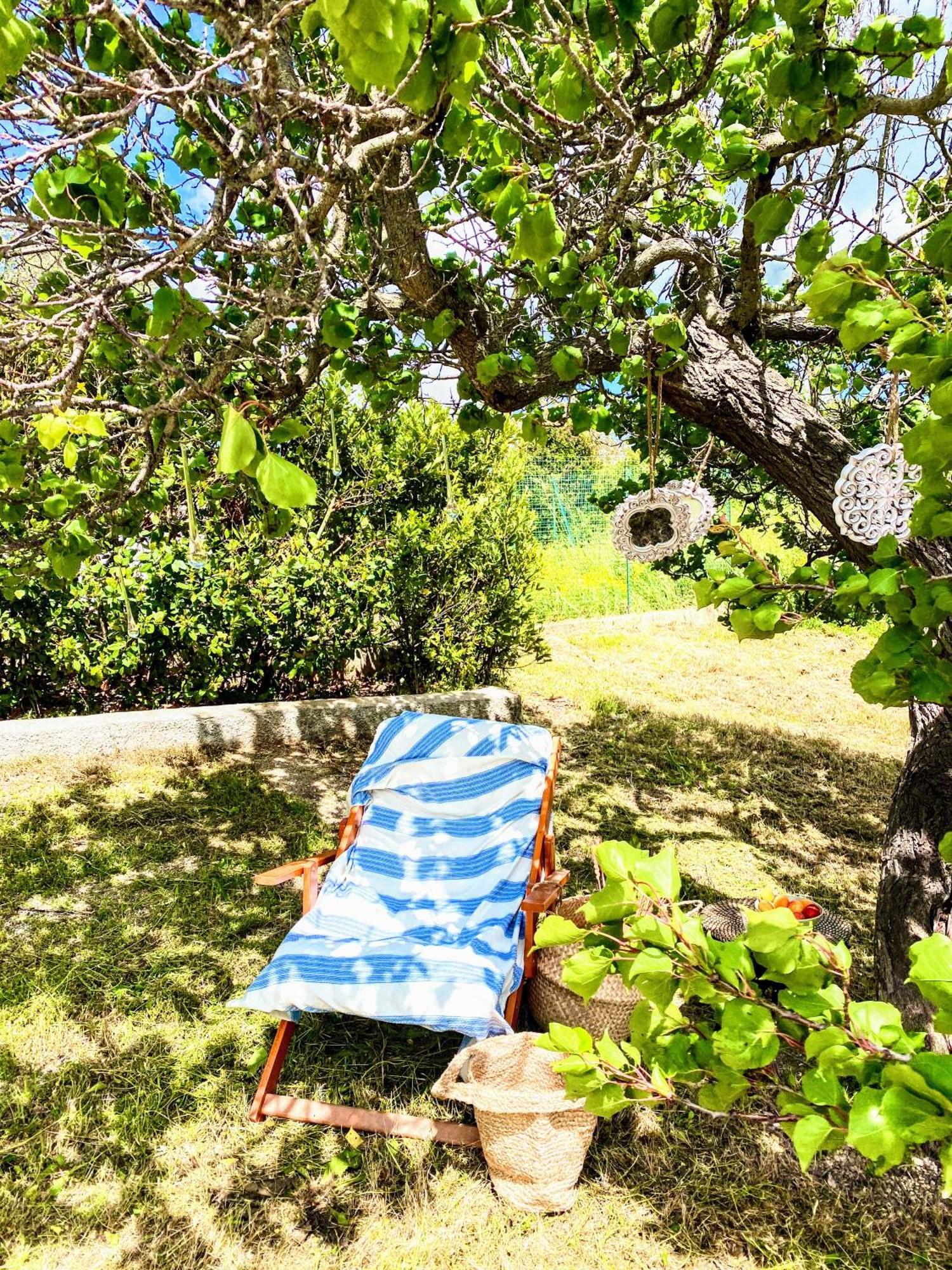Villa Trulli And Pool - I Cactus Martina Franca Exterior foto